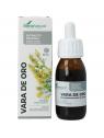 Solidago virgaurea XXI extract