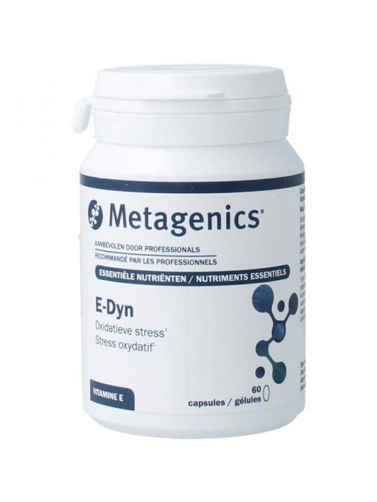 E-Dyn