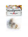 Woestijn roos