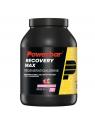 Recovery max raspberry