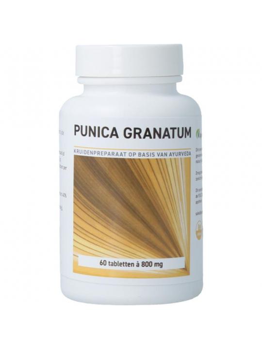 Granaatappel punica granatum