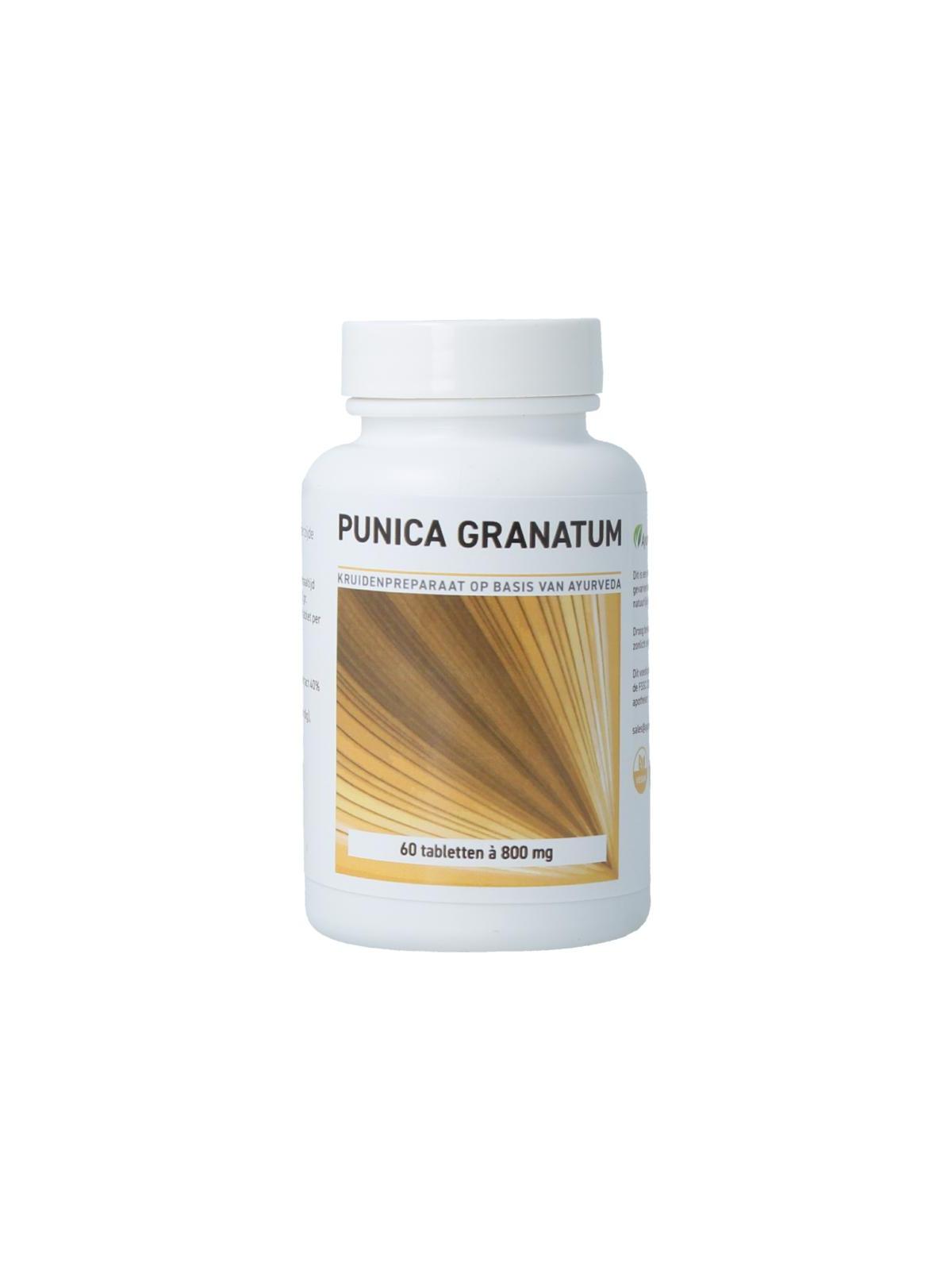 Granaatappel punica granatum
