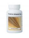 Granaatappel punica granatum