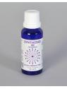 Syntheses 102 hersenstam