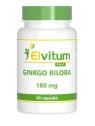 Ginkgo biloba