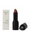 Lipstick 14 caralluma