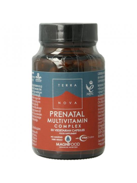 Prenatal multivitamin complex