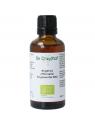 Angelica officinalis/engelwortel tinctuur bio