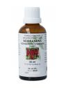 Schisandra chinensis fruct tinctuur