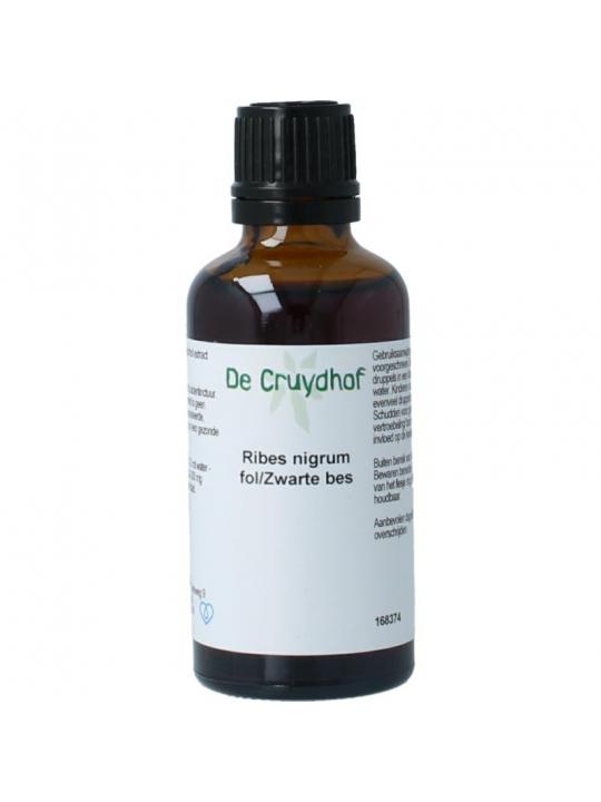 Cruydhof ribus nigrum & zwarte bes