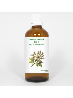 Balance Pharma Gemmo simplex 2 acer campestre