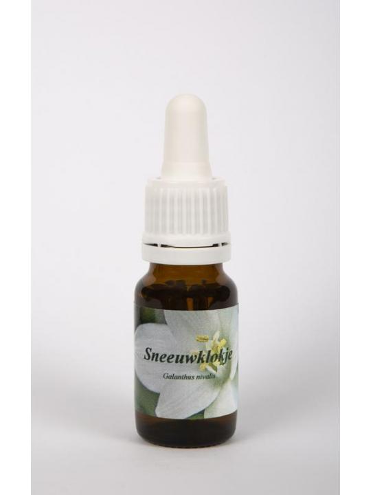 Star Remedies Sneeuwklokje