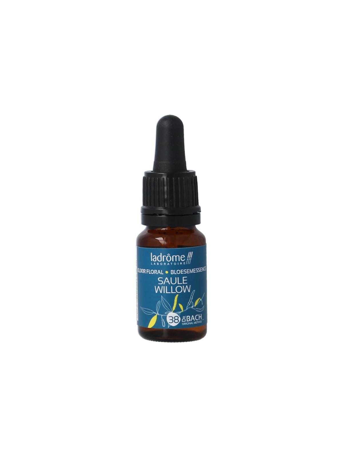 Ladrome Willow bio