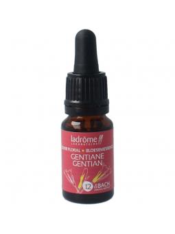 Ladrome Gentian bio
