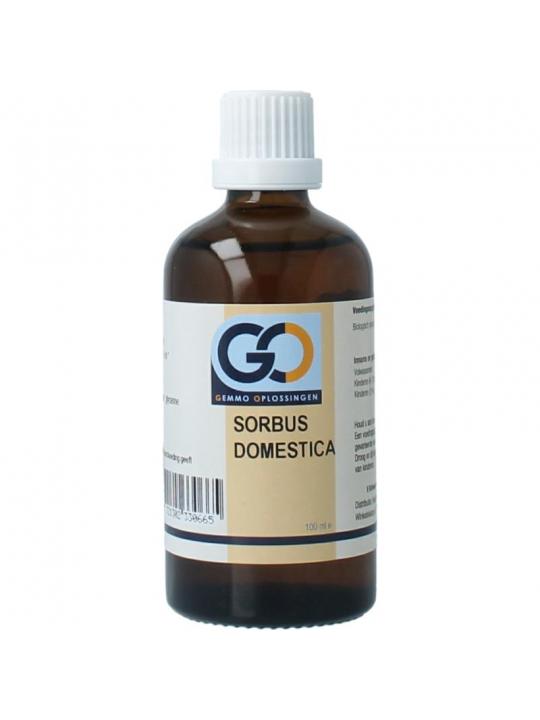 GO GO sorbus domestica bio