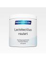 Nova Vitae lactobacillus reuteri