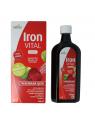 Hubner iron vital vloeibaar ijzer xl