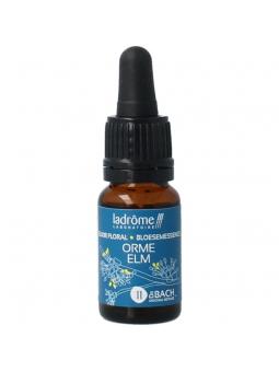 Ladrome bloesemessence elm bio