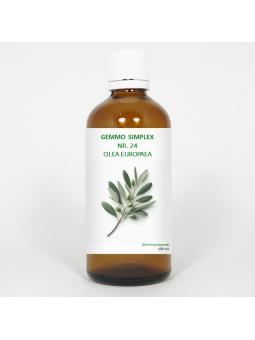 Gemmo simplex 24 olea europaea