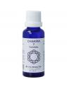 Vita chakra 7 kruinchakra paars
