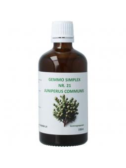 Gemmo simplex juniperus communis