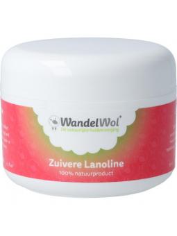 Wandelwol zuivere lanoline