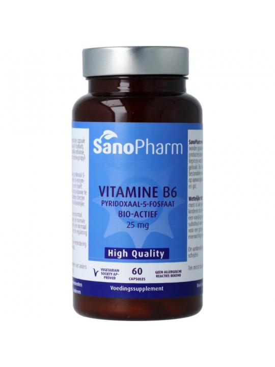 SanoPharm high quality vitamine b6