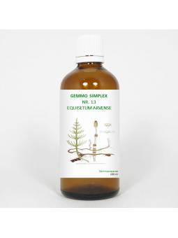 Gemmo simplex 13 equisetum arvense