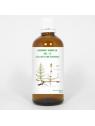 Gemmo simplex 13 equisetum arvense