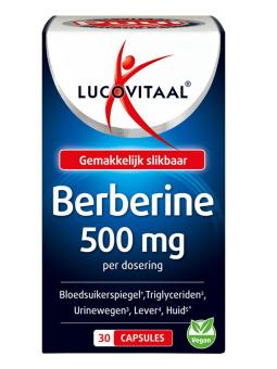 Berberine Puur 500mg